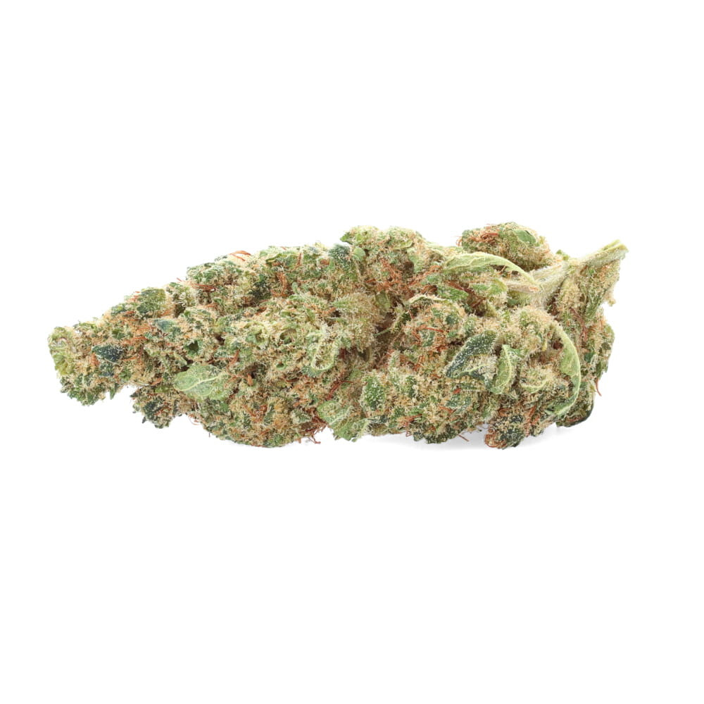 Orange Bud - Fleurs de CBD - Ivory pas cher sur cbd.fr Orange Bud - Fleurs de CBD - Ivory pas cher sur cbd.fr