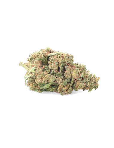 White widow - Fleurs de CBD - Ivory pas cher sur cbd.fr