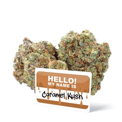 Caramel Kush - Fleurs de CBD - Ivory sur cbd.fr