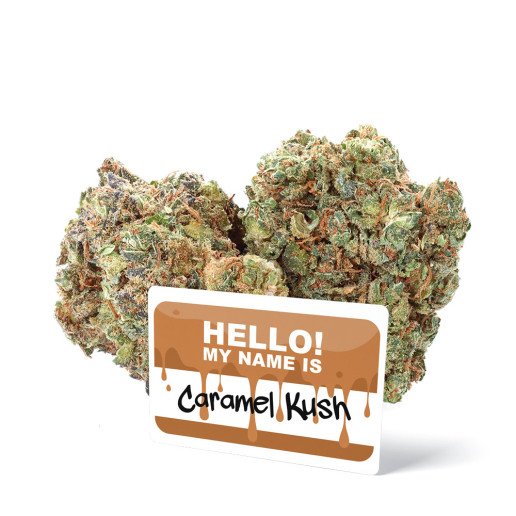 Caramel Kush - Fleurs de CBD - Ivory sur cbd.fr