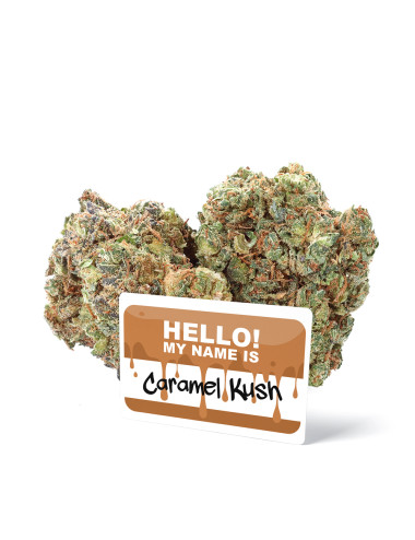 Caramel Kush - Fleurs de CBD - Ivory sur cbd.fr