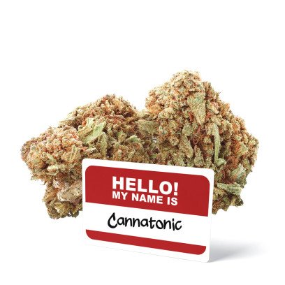 Cannatonic - Fleurs de CBD - Ivory pas cher sur cbd.fr