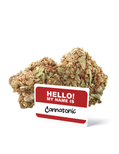 Cannatonic - Fleurs de CBD - Ivory sur cbd.fr