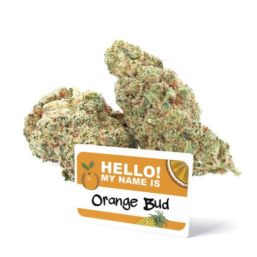 Orange Bud - Fleurs de CBD - Ivory sur cbd.fr