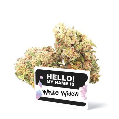 White widow - Fleurs de CBD - Ivory pas cher sur cbd.fr