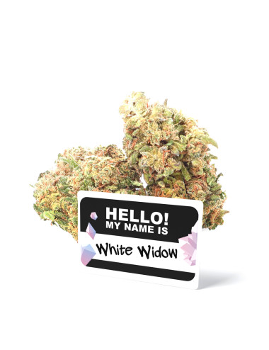 White widow - Fleurs de CBD - Ivory pas cher sur cbd.fr