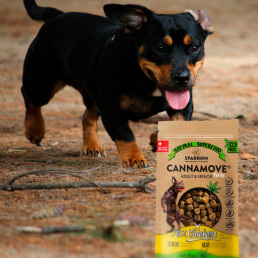 Friandises CBD pour chiens - Mobilité - Sparrow