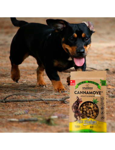 Friandises CBD pour chiens - Mobilité - Sparrow