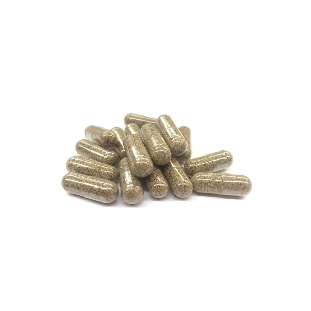 Gélules CBG - Bien-être musculaire - Champignons et plantes - Fungo Novaloa - 3-cbd