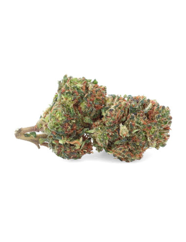 Candyland THCP - Fleurs de THCP - Easy Weed