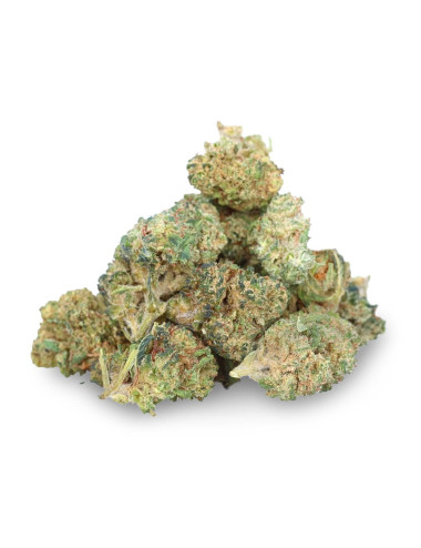 Papaya H4CBD - Fleur de H4CBD - Easy Weed