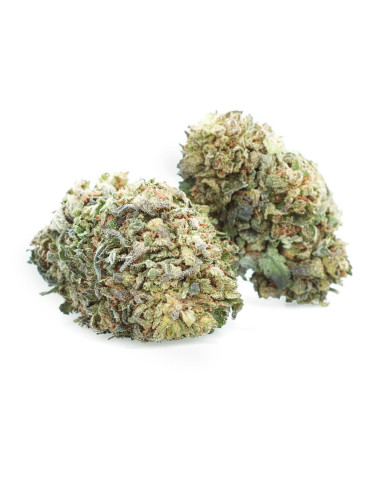 Bubble Kush - Fleur de CBD - Easy Weed