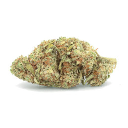 White Whale - Fleur de CBD - Easy Weed