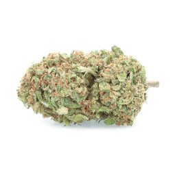 Critical Berries - Fleur de CBD - Easy Weed