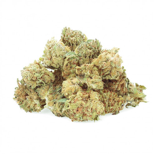 Mimosa Punch - Easy Weed