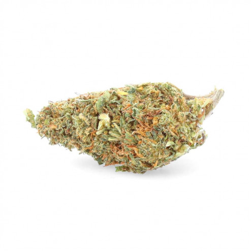 White Rhino - Easy weed
