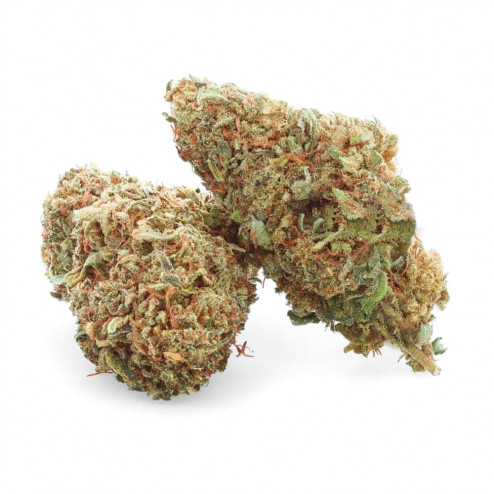 Sensei Star - Easy weed