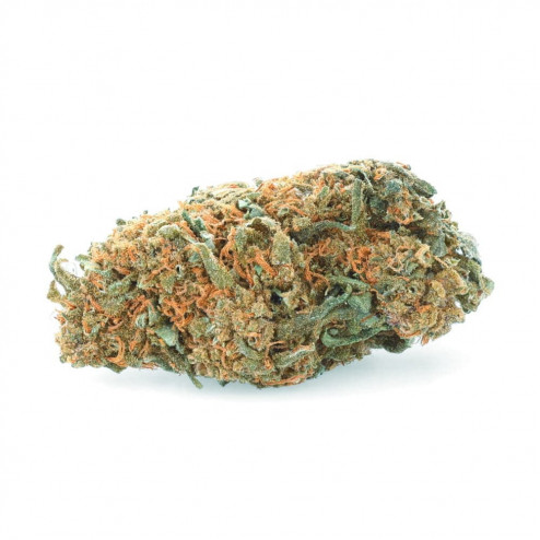 New York Cheese - CBD.fr