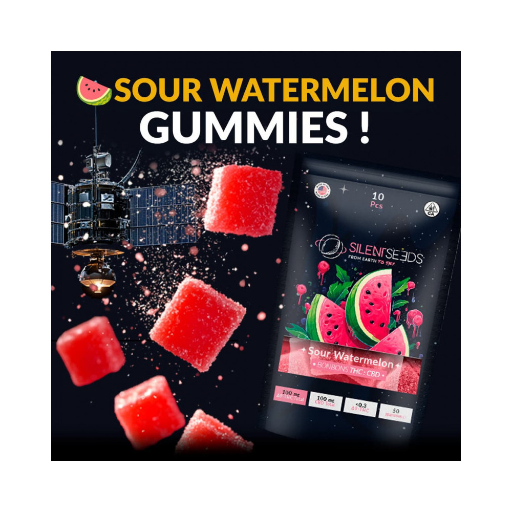 Gummies THC Delta 9 Sour Watermelon - Silent Seeds Silent Seeds - 3-cbd