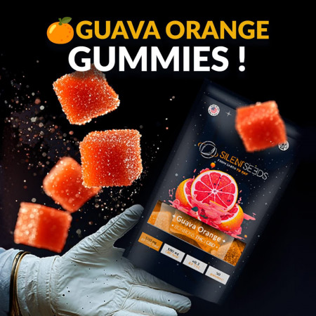 Gummies THC : CBD Guava Orange - Silent Seeds