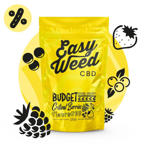 Critical Berries - Easy Weed