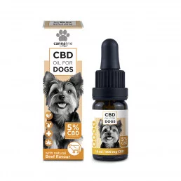 Huile de CBD petits chiens...