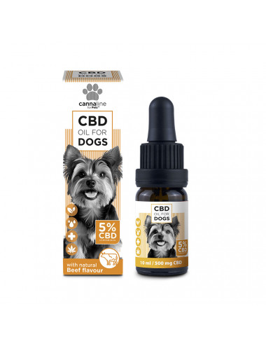 Huile de CBD petits chiens...