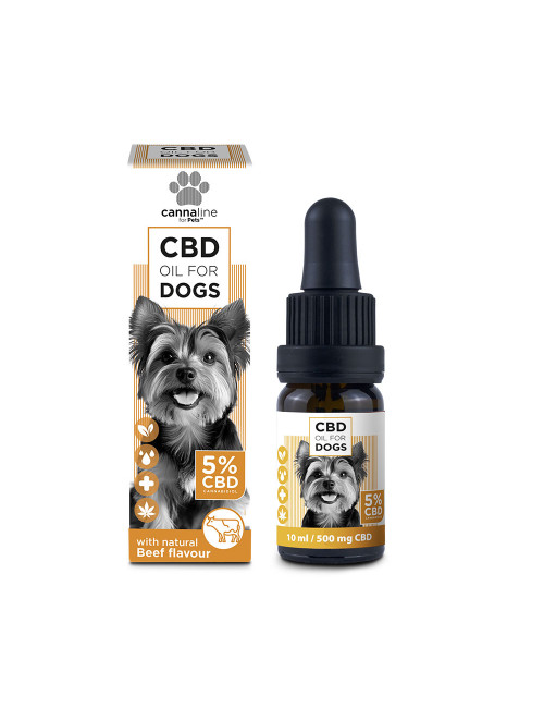 Huile de CBD petits chiens...