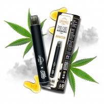 Pod rechargeable Amnesia - Greeneo