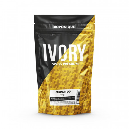 Ferrari OG - Fleur de CBD - Ivory