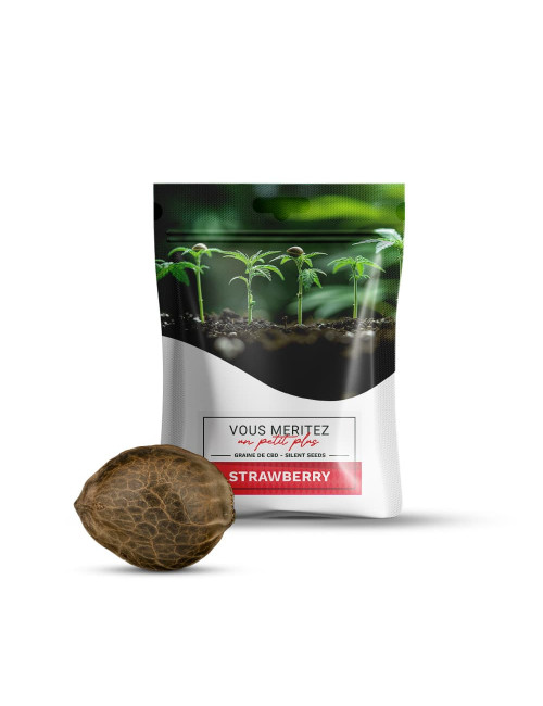 Graine de CBD - Strawberry - CBD.fr