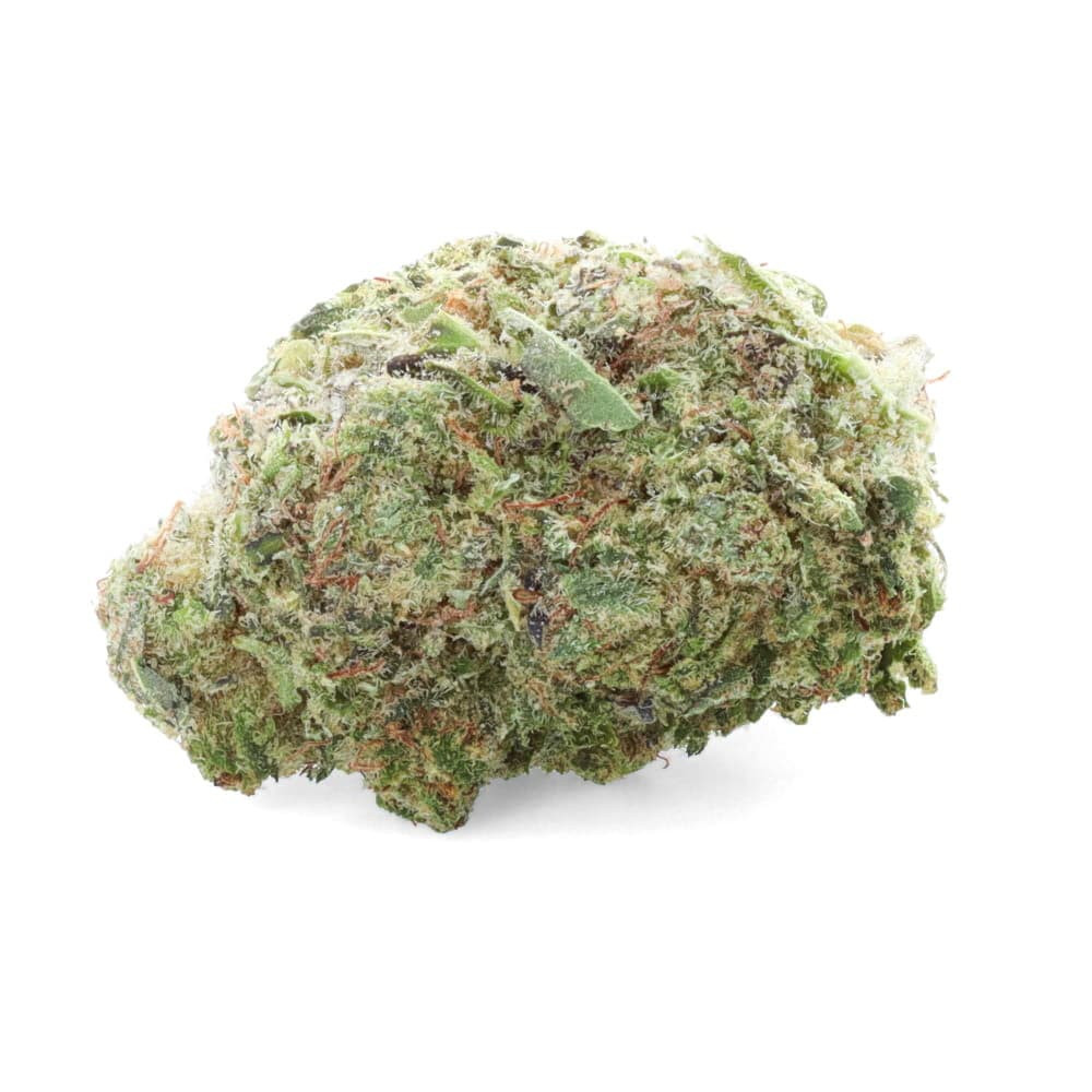 Ferrari OG - Fleur de CBD - Ivory