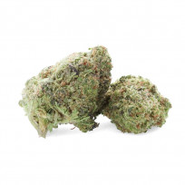 Ferrari OG - Fleur de CBD - Ivory