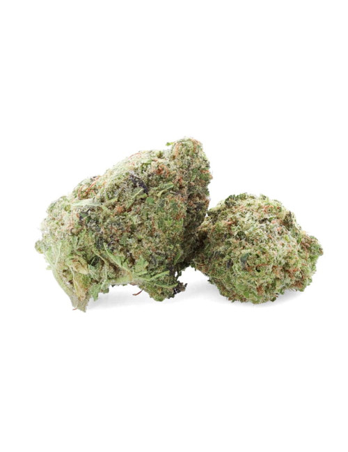 Ferrari OG - Fleur de CBD - Ivory