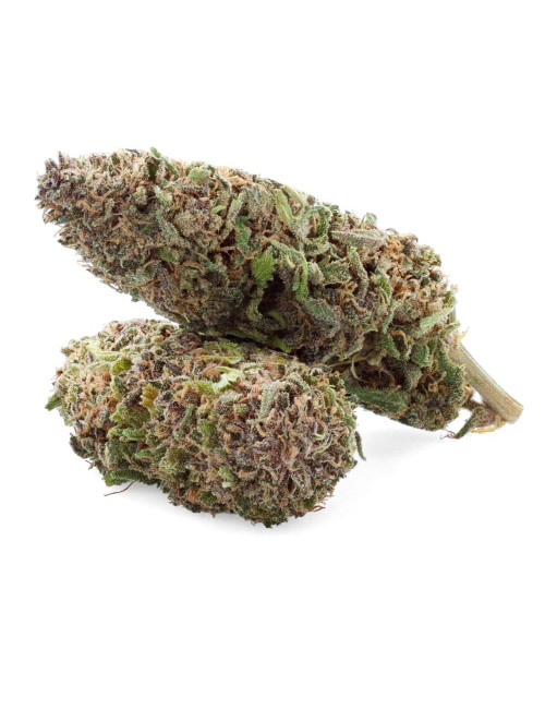 Legendary - Fleur de CBD - CBD.fr