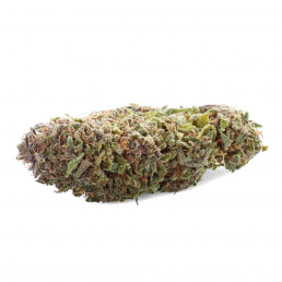 Legendary - Fleur de CBD - CBD.fr