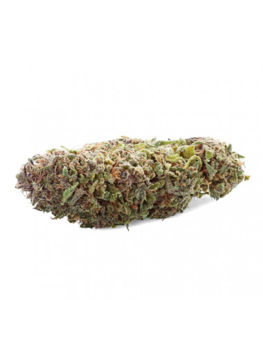 Legendary - Fleur de CBD - CBD.fr