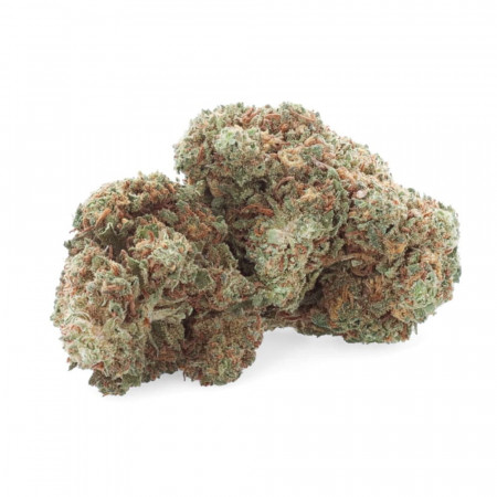 Grapefruit - Fleur de CBD - CBD.fr