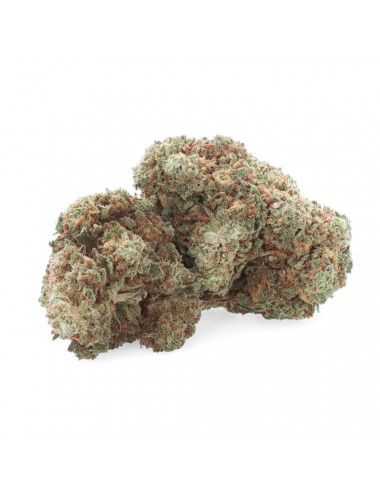 Grapefruit - Fleur de CBD - CBD.fr