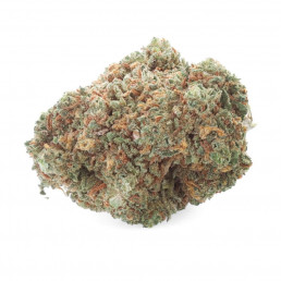 Grapefruit - Fleur de CBD - CBD.fr