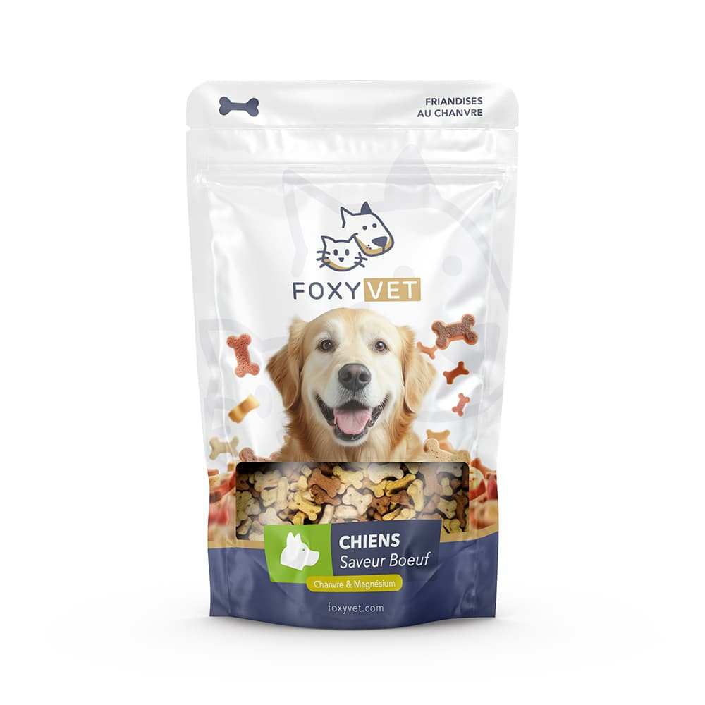 Friandises au CBD pour chien - Foxyvet Friandises au CBD pour chien - Foxyvet