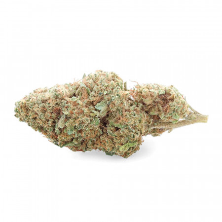 White CBG - Fleur de CBG - Easy Weed