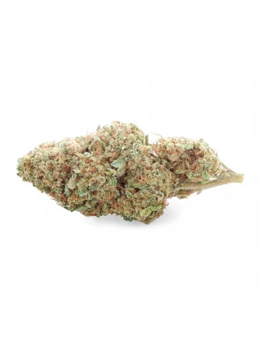 White CBG - Fleur de CBG - Easy Weed