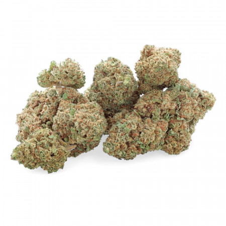 White CBG - Fleur de CBG - Easy Weed