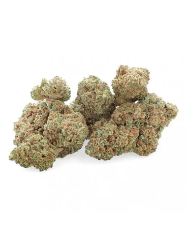 White CBG - Fleur de CBG - Easy Weed