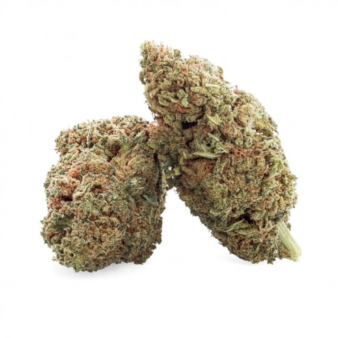 Labubu Kush - Easy Weed