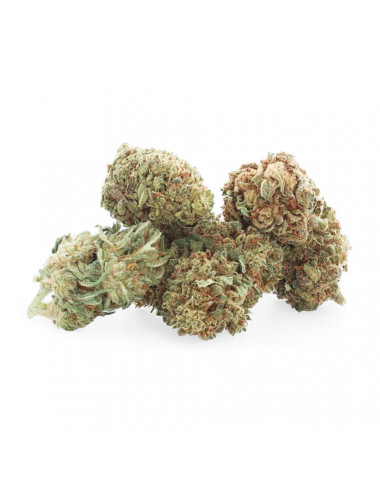 Mix Buds - Fleur de CBD - Easy Weed
