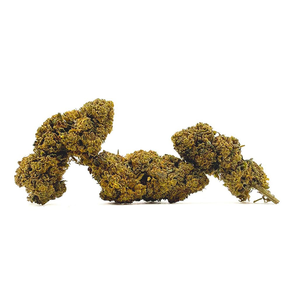 Fleur VMAC HYPER STRONG - Amnesia Haze - White rabbit