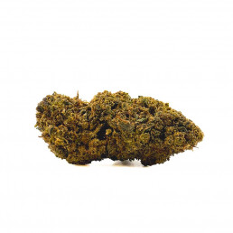 Fleur VMAC HYPER STRONG - Amnesia Haze - White rabbit