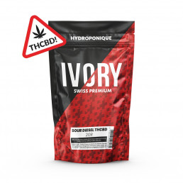 Sour Diesel - Fleur de THCBD - Ivory